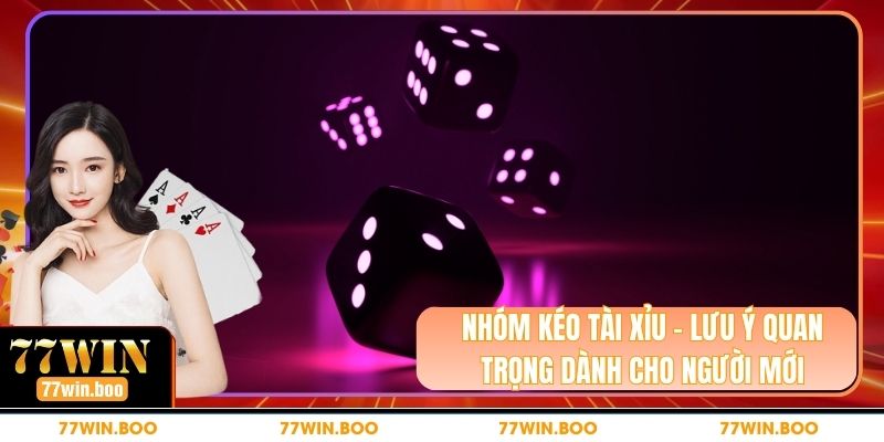 Nhóm Kéo Tài Xỉu - Lưu Ý Quan Trọng Dành Cho Người Mới